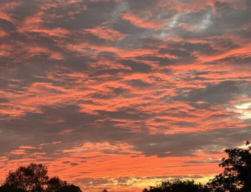 creative community circle